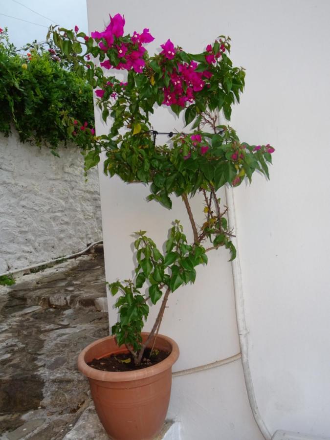 Fotis House Villa Koróni Exterior foto